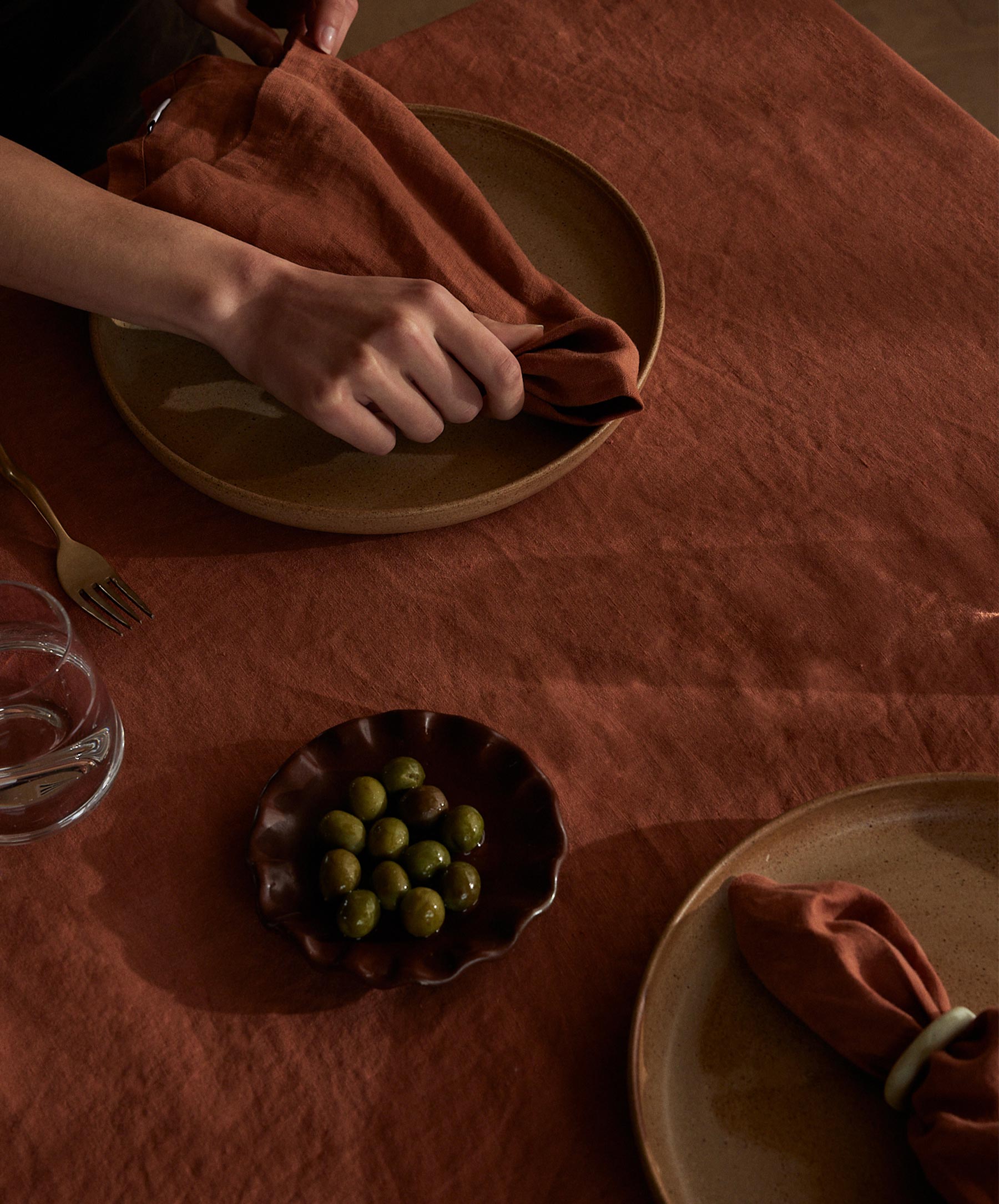 Linen Table Napkins - Sienna