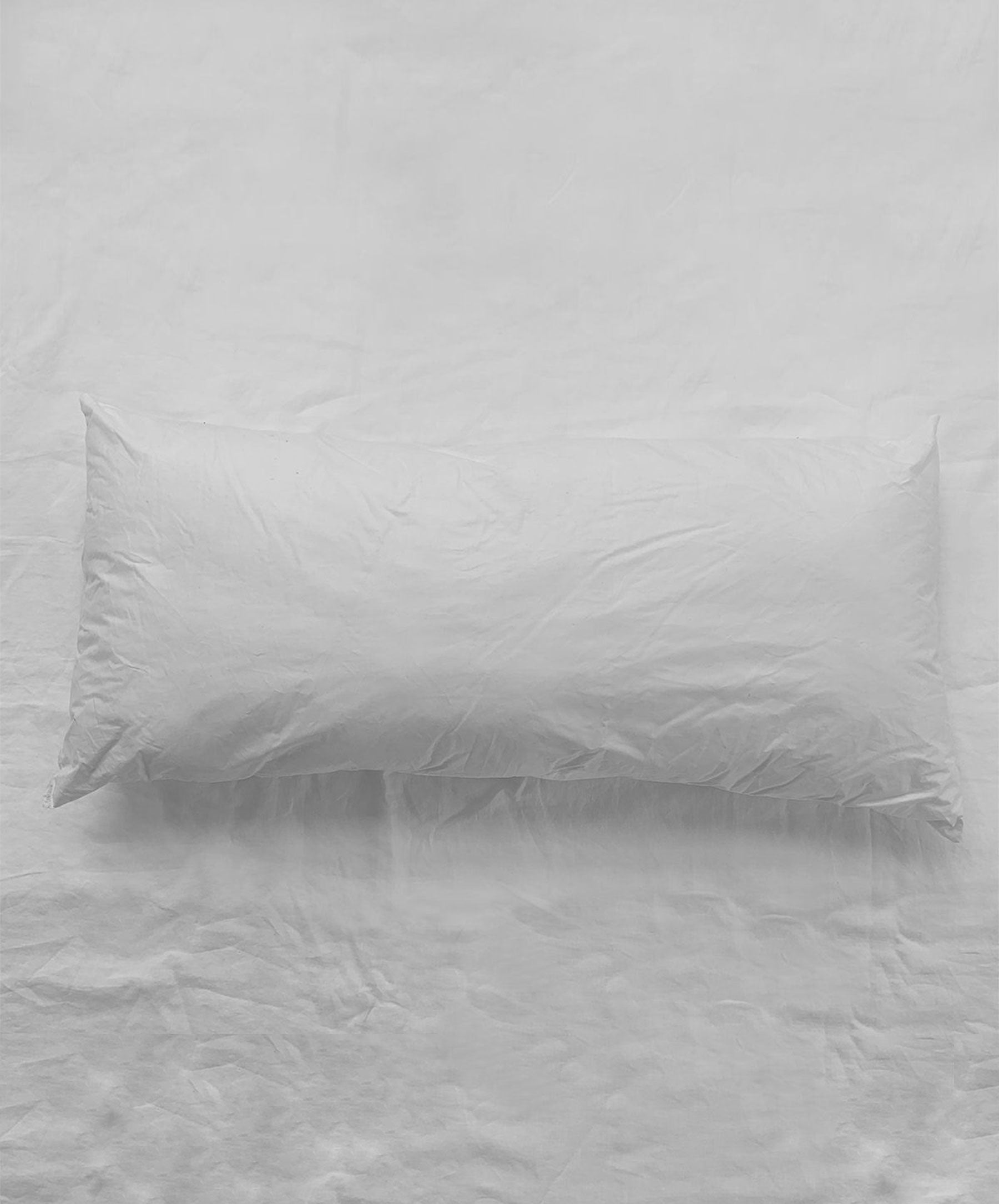Cushion Insert Lumbar