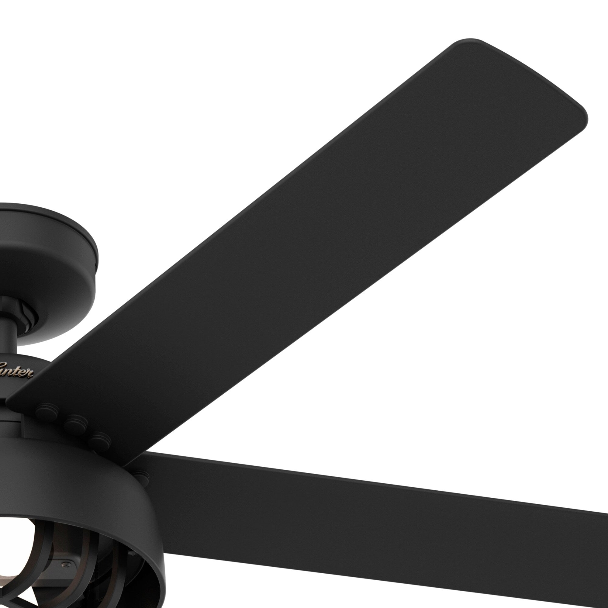 Hunter 52 Autumn Breeze II Ceiling Fan Indoor Outdoor LED Light & Handheld Remote - Industrial, Transitional, Modern, Caged