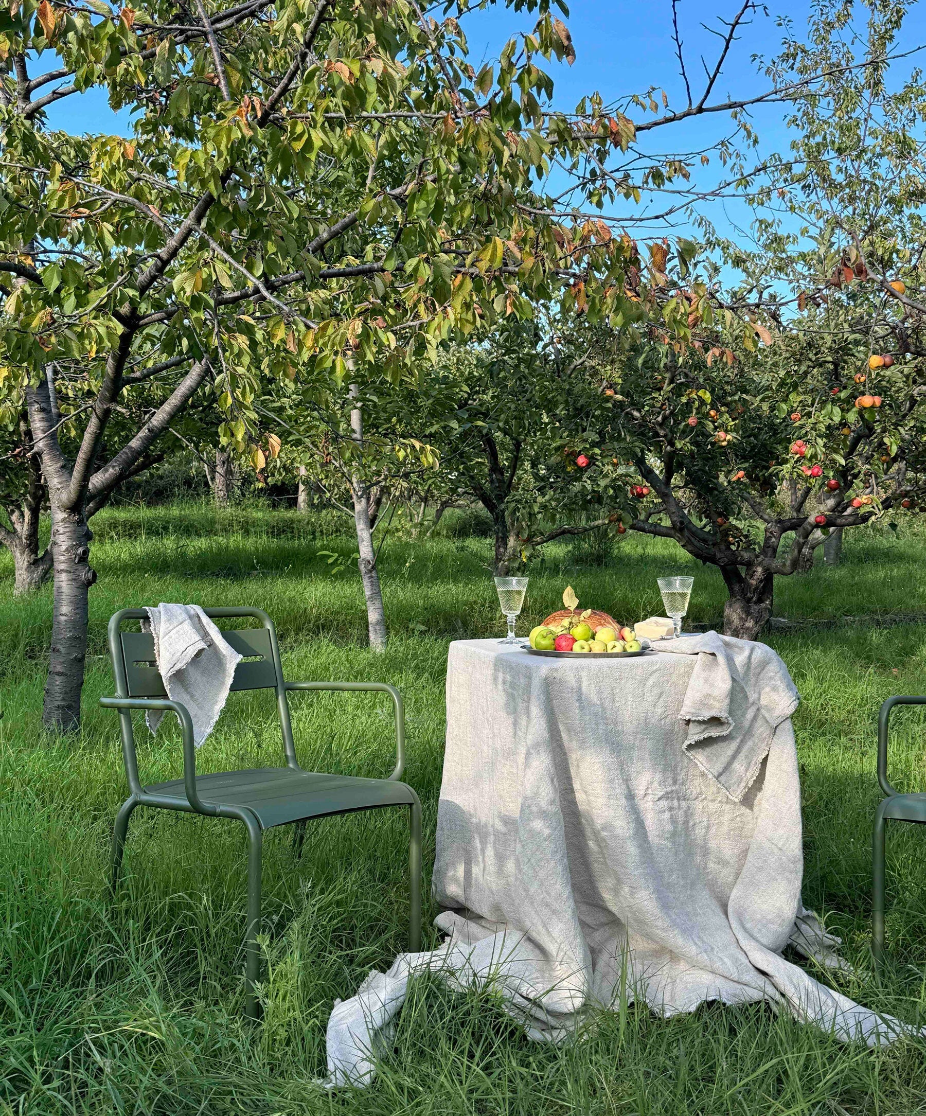 Dining Edit - Natural Fia Dining